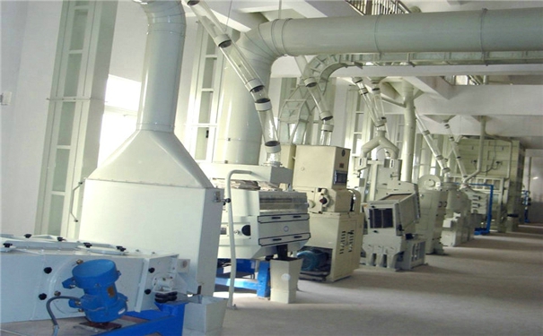 小米加工成套设备