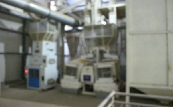 免费看片18禁机械