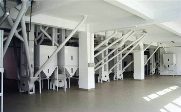 免费看片18禁机械